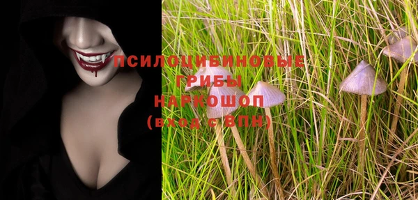 индика Армянск