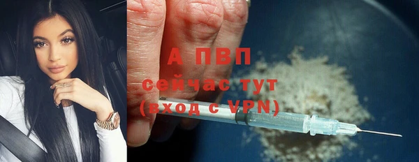 индика Армянск