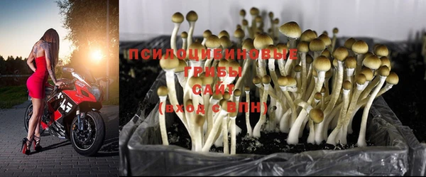 не бодяженный Балахна