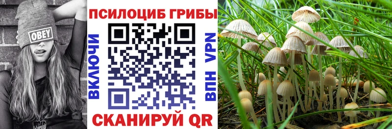 закладки  Богданович  Галлюциногенные грибы GOLDEN TEACHER 